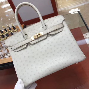 エルメス バーキン30 クレ オーストリッチ ゴールド金具