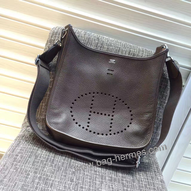 エルメス エブリン エヴリン3 33/GM カフェ トリヨン シルバー金具