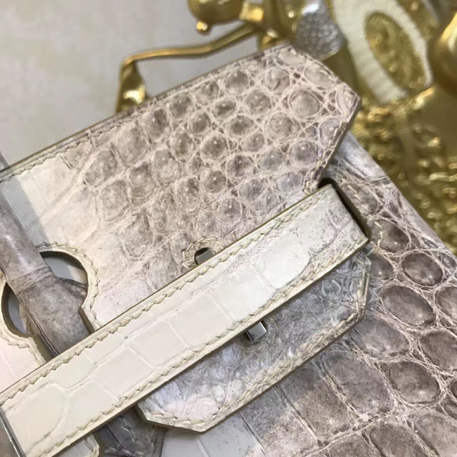 エルメス バーキン30 ヒマラヤ クロコダイル シルバー金具