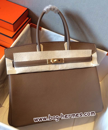 エルメス バーキン25 エトープ トリヨンクレマンス ゴールド金具