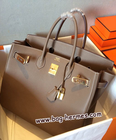 エルメス バーキン25 エトープ トリヨンクレマンス ゴールド金具