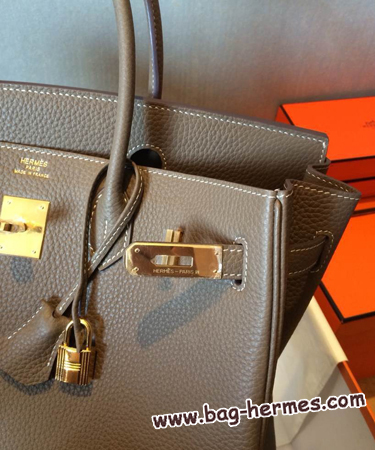 エルメス バーキン25 エトープ トリヨンクレマンス ゴールド金具