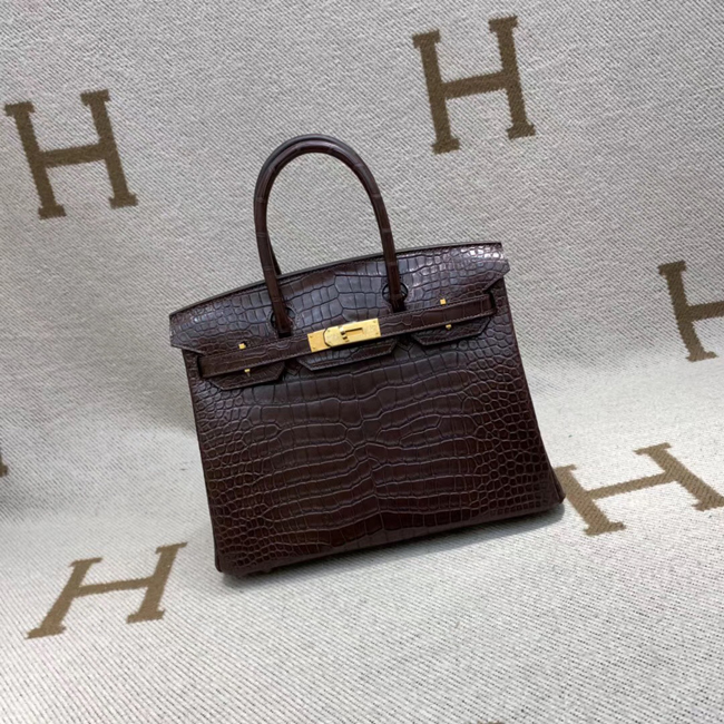 エルメス バーキン30 エコルセ クロコダイル ニロティカスマット ゴールド金具