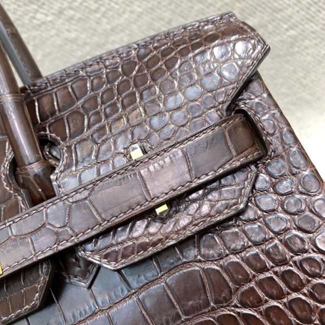 エルメス バーキン30 エコルセ クロコダイル ニロティカスマット ゴールド金具