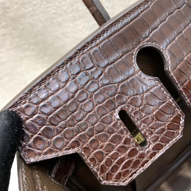 エルメス バーキン30 エコルセ クロコダイル ニロティカスマット ゴールド金具