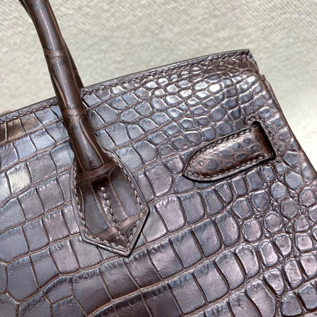 エルメス バーキン30 エコルセ クロコダイル ニロティカスマット ゴールド金具