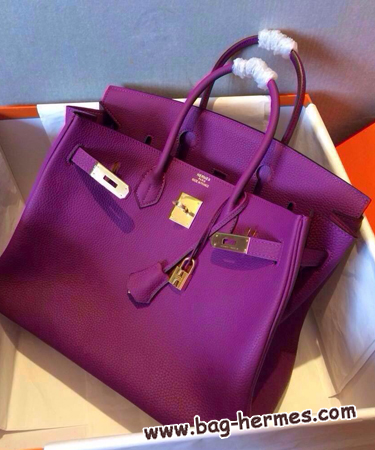 エルメス バーキン30 アネモネ トゴ ゴールド金具