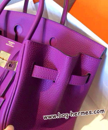 エルメス バーキン30 アネモネ トゴ ゴールド金具