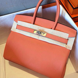 エルメス バーキン30 フラミンゴ トゴ シルバー金具