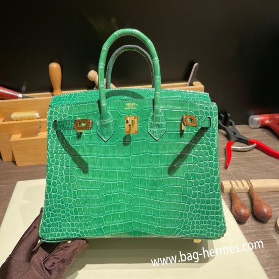 エルメスバーキン 25センチポロサスマットporous Crocodile 1L/Cactus カクタスゴールド金具  全手縫いbirkin25-003