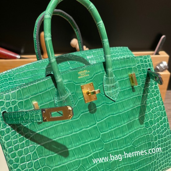 エルメスバーキン 25センチポロサスマットporous Crocodile 1L/Cactus カクタスゴールド金具  全手縫いbirkin25-003