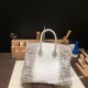 エルメスバーキン 25センチニロティカス Crocodile Niloticus01/Himalaya  ヒマラヤゴールド金具  全手縫いbirkin25-008