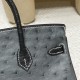 88/Graphite   グラファイト & 89/Black (Noir) ブラックフロストシルバー金具 高級カスタムメイド 25 birkin  南アフリカ KK オーストリッチ 
