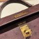 エルメスケリーミニ Kelly bag miniMini Kelly New stock  オーストリッチ ostrich エベーヌ 46 /Ebene ゴールド金具   kellymini-015 全手縫い