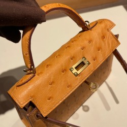 エルメスケリーミニ Kelly bag miniMini Kelly New stock  オーストリッチ ostrich サフラン 22 /Saffron ゴールド金具   kellymini-021 全手縫い