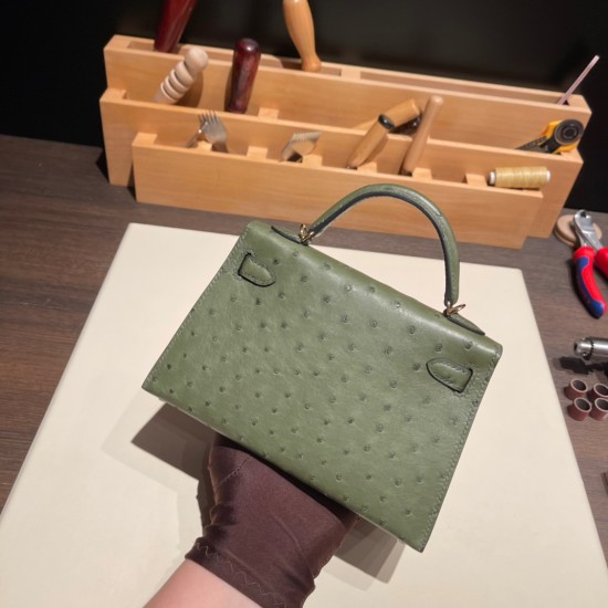 エルメスケリーミニ Kelly bag miniMini Kelly New stock  オーストリッチ ostrich カノピ V6/ /Canope & ヴェールマキ G8 /Vert Maquis ゴールド金具 kellymini-024 全手縫い