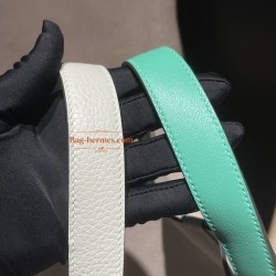 0W Gris Neve グリネヴェ &  0Z Vert Comics  ヴェールコミック シルバー金具 Picotin Lock 18/PMピコタンロック18/PM トリヨンクレマンCLEMENCE  TC