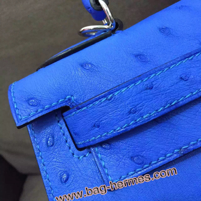 エルメス ケリー32 クロッカス オーストリッチ シルバー金具