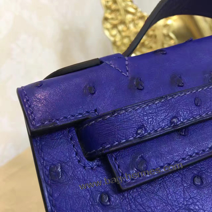 エルメス ポシェットケリー クロッカス ゴールド金具 オーストリッチ