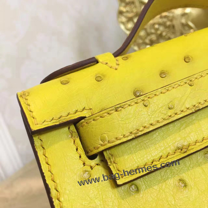 エルメス ポシェットケリー スフレ ゴールド金具 オーストリッチ