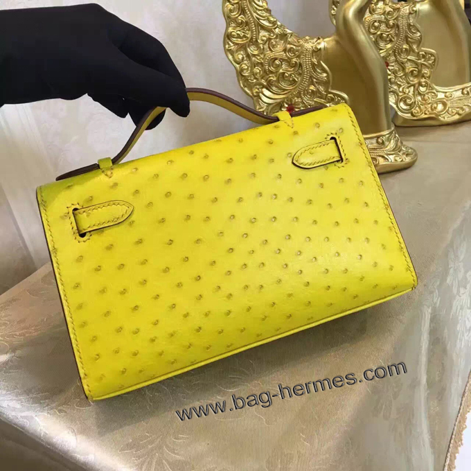 エルメス ポシェットケリー スフレ ゴールド金具 オーストリッチ