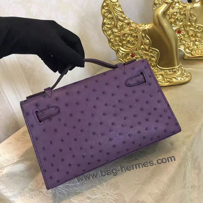 エルメス ポシェットケリー アイリス ゴールド金具 オーストリッチ