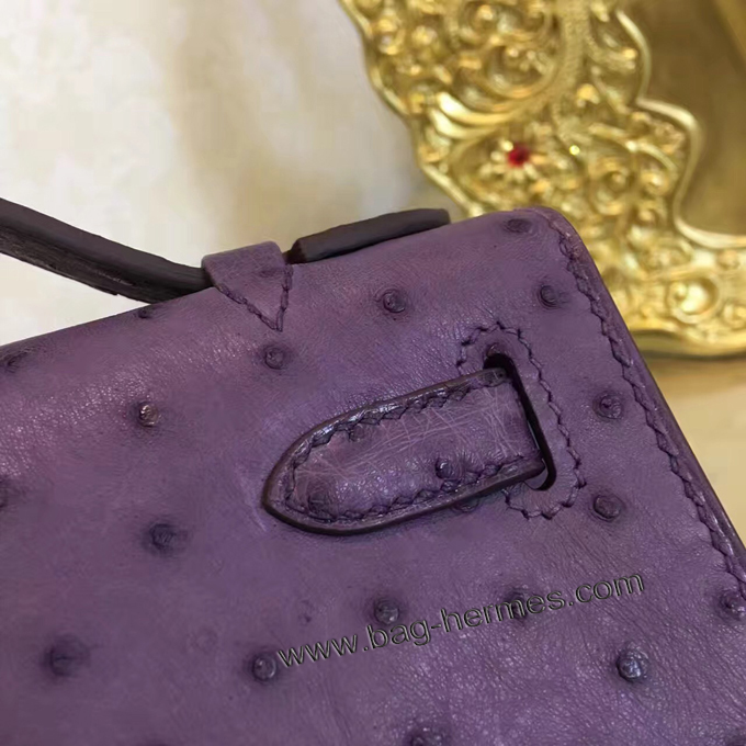 エルメス ポシェットケリー アイリス ゴールド金具 オーストリッチ