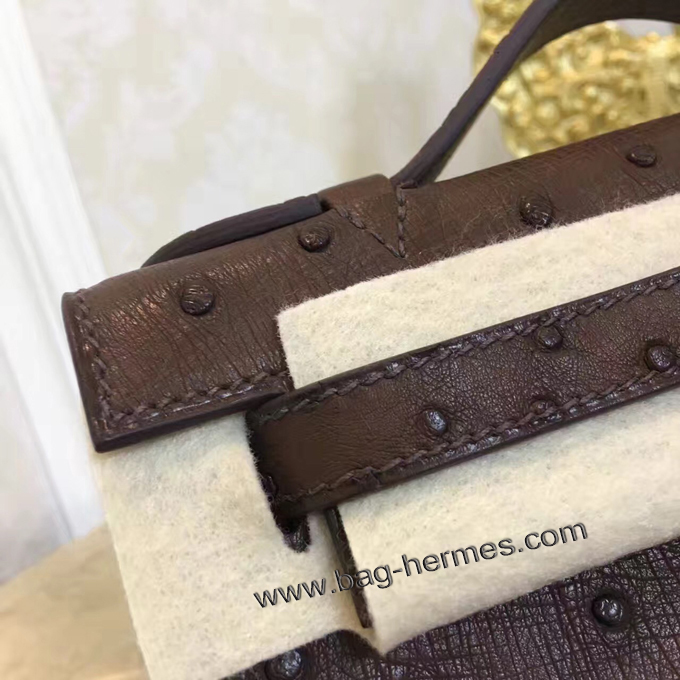 エルメス ポシェットケリー ショコラ ゴールド金具 オーストリッチ