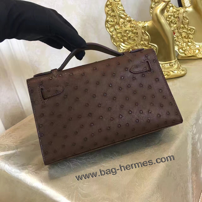 エルメス ポシェットケリー ショコラ ゴールド金具 オーストリッチ