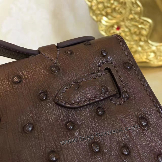 エルメス ポシェットケリー ショコラ ゴールド金具 オーストリッチ