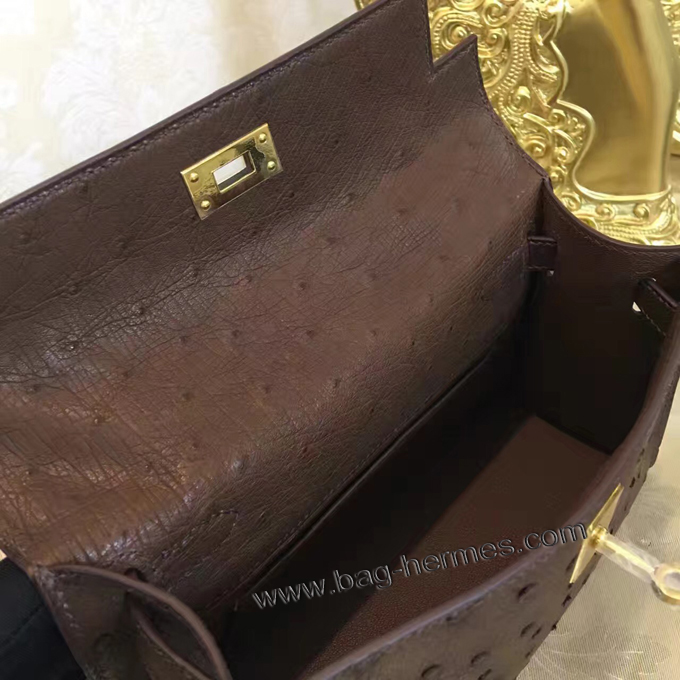 エルメス ポシェットケリー ショコラ ゴールド金具 オーストリッチ