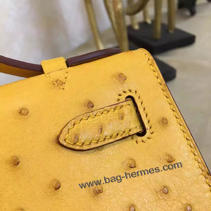 エルメス ポシェットケリー ジョーヌプッサン シルバー金具 オーストリッチ