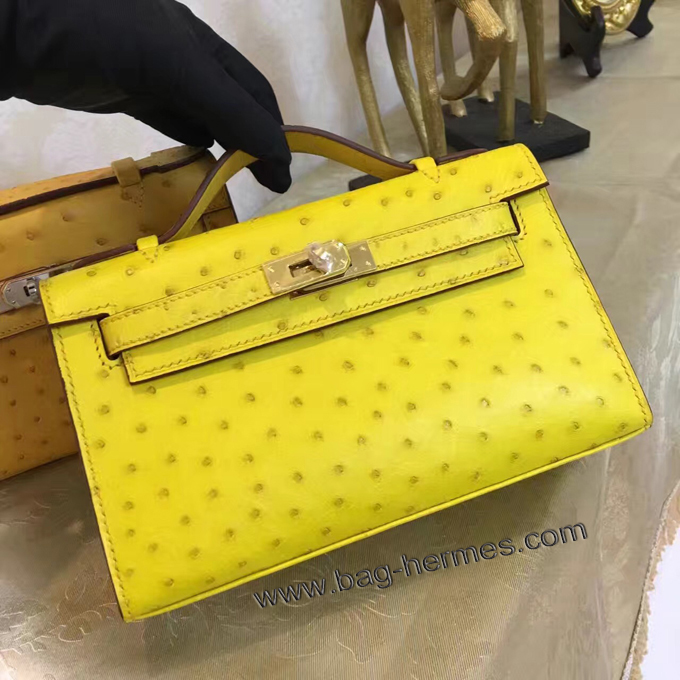 エルメス ポシェットケリー スフレ シルバー金具 オーストリッチ