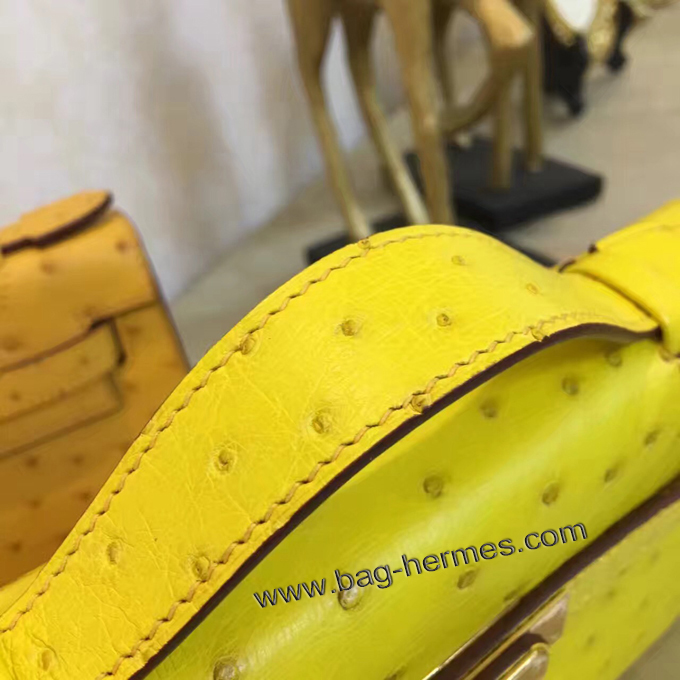エルメス ポシェットケリー スフレ シルバー金具 オーストリッチ