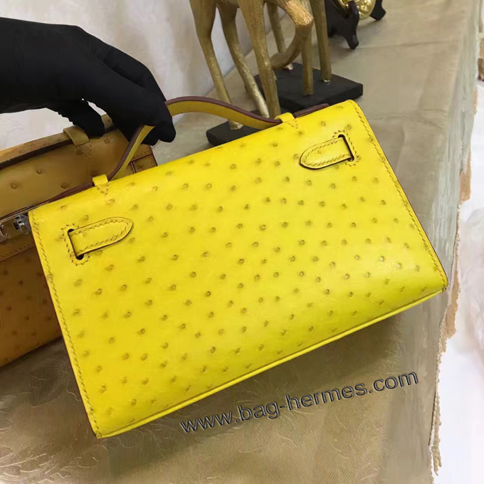 エルメス ポシェットケリー スフレ シルバー金具 オーストリッチ