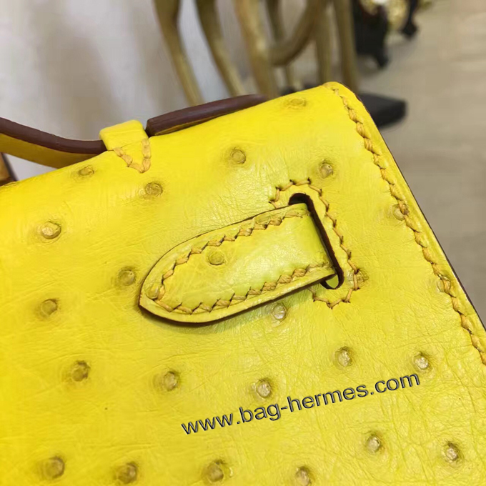 エルメス ポシェットケリー スフレ シルバー金具 オーストリッチ