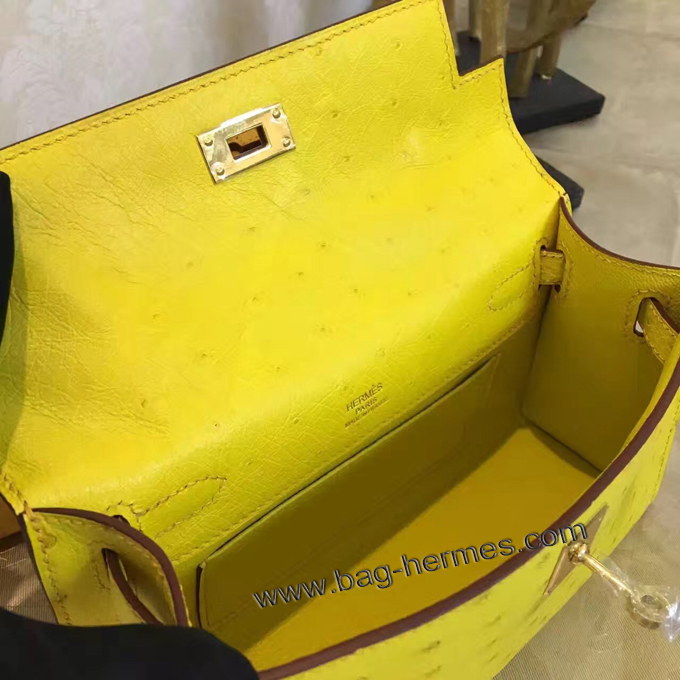 エルメス ポシェットケリー スフレ シルバー金具 オーストリッチ