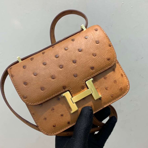 エルメス コンスタンスミニ ゴールド オーストリッチ ゴールド金具